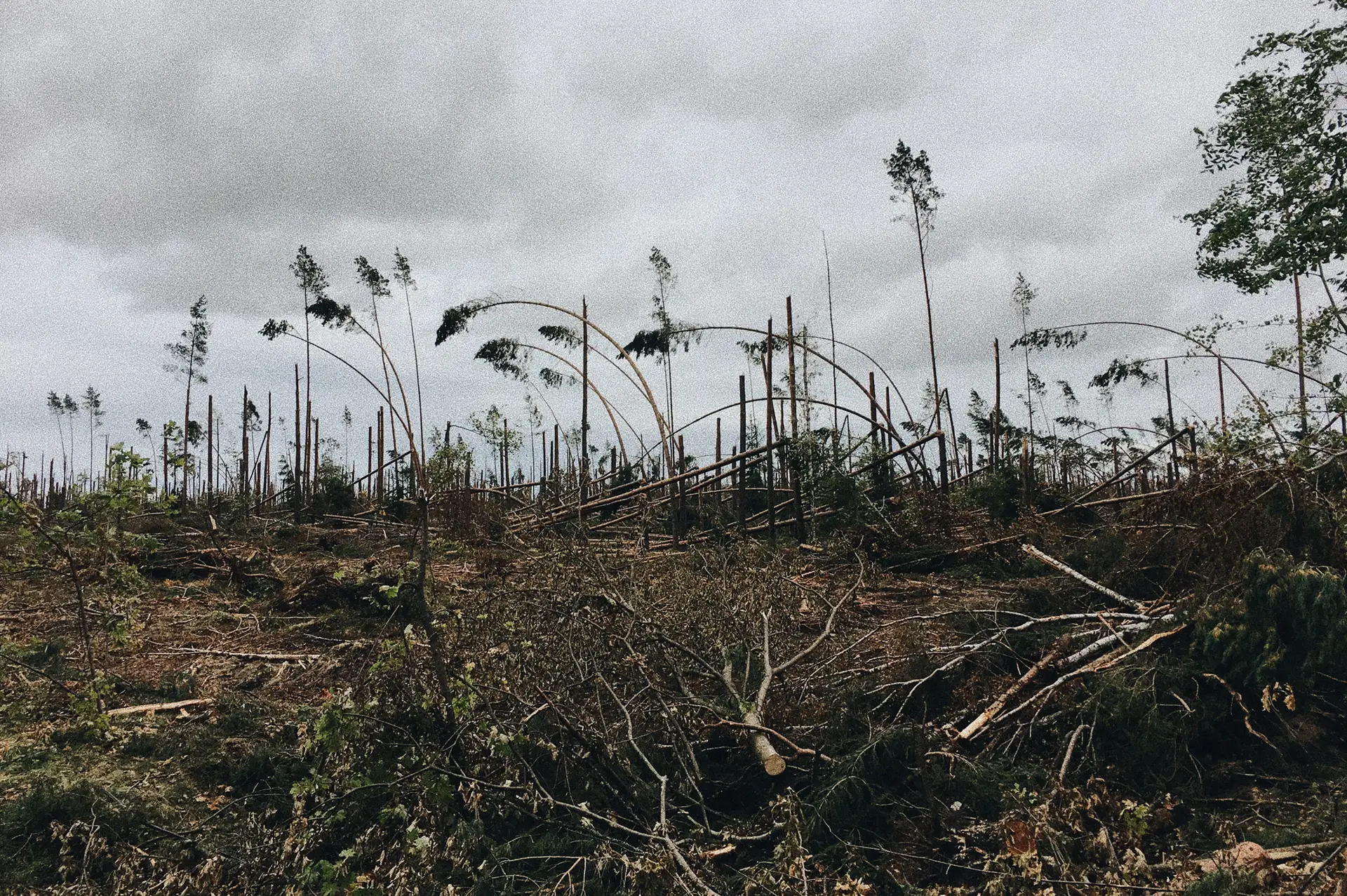 20170903_140014808_iOS-1