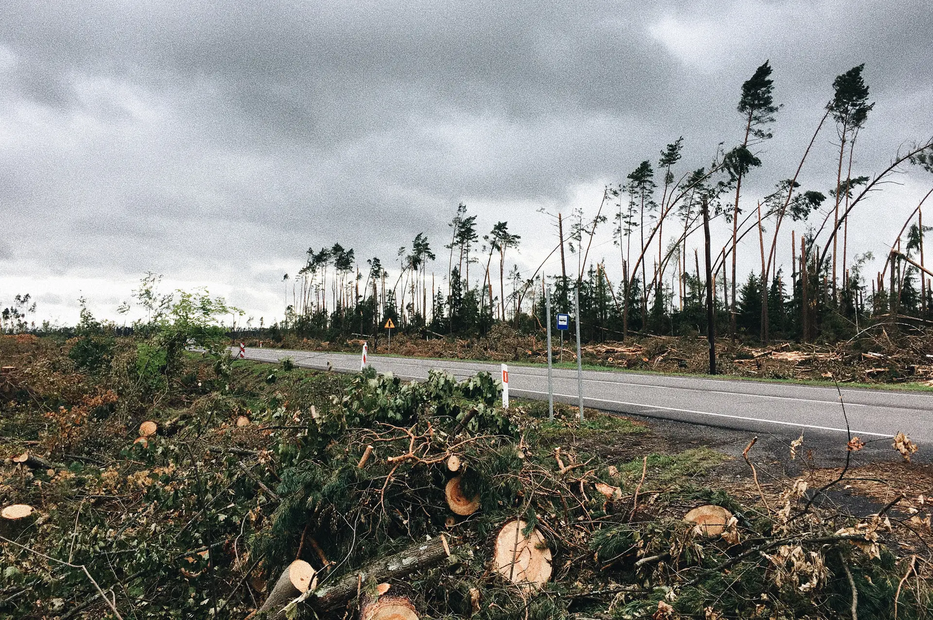 20170903_140027417_iOS-1